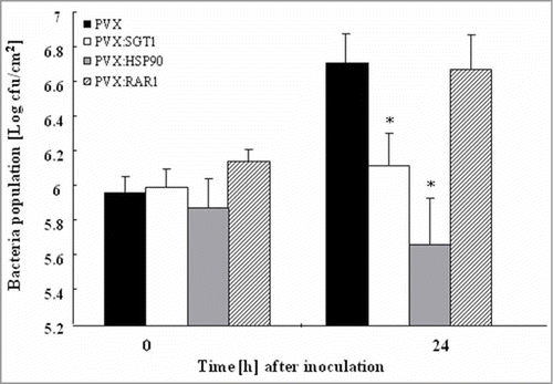 Figure 3. Growth of Ralstonia solanacearum in Hsp90, RAR1 and SGT1-silenced plants Control (PVX), Hsp90- (PVX:Hsp90), RAR1- (PVX:RAR1) and SGT1- (PVX:SGT1) silenced plants were infiltrated with R. solanacearum (108 CFU/ml). Bacterial population was determined by plating at specified time points. Values are means of 4 replicate experiments with SD. Asterisks denote values significantly different from those of empty PVX controls (*; P < 0.05, t-test).