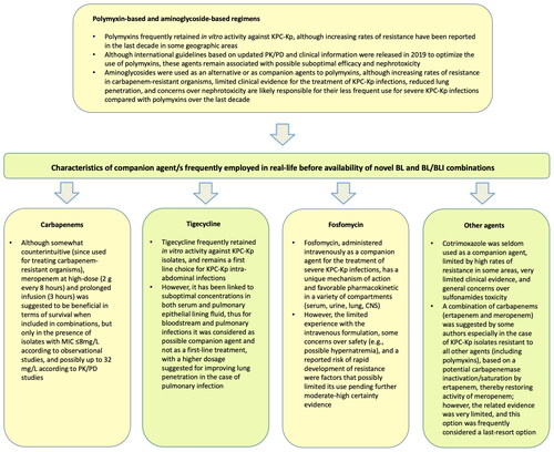 Figure 1. Combination therapies frequently employed before availability of novel β-lactam/β-lactam inhibitor (BL/BLI) combinations and β-lactams (BL) for the treatment of severe infections caused by KPC-producing Klebsiella pneumoniae. CNS: central nervous system; KPC-Kp: Klebsiella pneumoniae carbapenemase-producing Klebsiella pneumoniae; MIC: minimum inhibitory concentration; PK/PD: pharmacokinetic/pharmacodynamic. Information included in the table is from Refs. [Citation9,Citation15,Citation19–34].