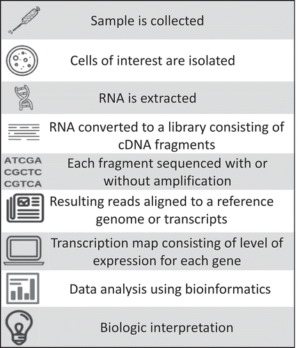 Figure 1. Steps involved in transcriptomic analyses using RNA sequencing.