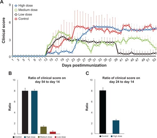 Figure 3 Clinical scores of mice during 54 days after EAE induction (A); ratio of clinical score increase on day 54 in relation to day 14 in the control and test groups (B); ratio of clinical score increase on day 24 in relation to day 14 in the control and high-dose groups (C).Notes: The clinical score from each group at the end of the experiment (day 54) was divided over the clinical score from each group at the beginning of the treatment (day 14) to demonstrate the efficacy of the nanocomplex in controlling EAE progression by using mathematical logic (B); the clinical score on day 24 (when the clinical score was the highest in the control group) was divided over the clinical score on day 14 (the beginning of the treatment) to mathematically indicate the success of high-dose MSc1 in deferring disease progression (C).Abbreviation: EAE, experimental autoimmune encephalomyelitis.