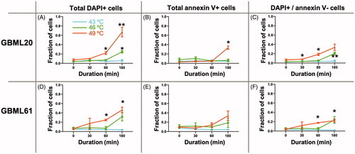 Figure 4. Heat induces a predominantly non-apoptotic death in GBM cells in vitro. Summary graphs of effects of three different temperatures applied for 30, 60 or 180 min to two patient-derived GBM cultures on DAPI and annexin V staining (A–F). The DAPI + and DAPI+/annexin V − cell populations show the most statistically significant increases in response to heat in a temperature and time-dependent manner. Two-way ANOVA was used for statistical comparisons. The effect of temperature was significant in all conditions with the exception of annexin V staining for GBML20 (B) (F2,10 = 2.160, p = 0.1661) and GBML61 (E) (F2,10 = 1.291, p = 0.3170). Time, and the interaction of temperature–time were significant in all conditions. Asterisks indicate post-hoc significant differences by Tukey test. *p < 0.05; **p < 0.01.