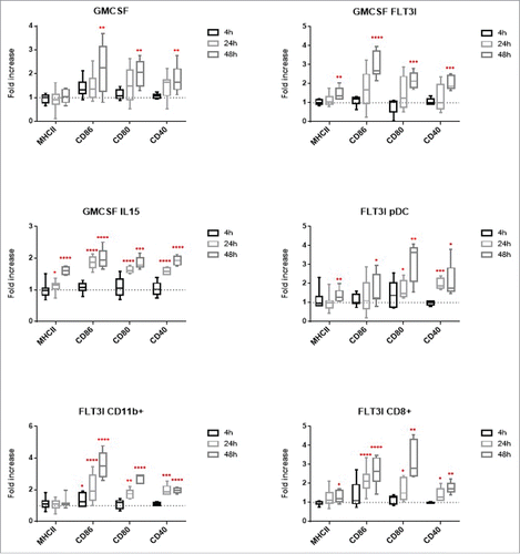 Figure 3. Surface marker expression BMDCs from C57BL/6 mice were infected at a MOI of 30. 4h, 24h and 48h post-infection, cells were fixed and stained with antibodies for MHCII, CD86, CD80 and CD40. Results are presented in box plot and each point represent at least 5 experiments. Statistical analysis were performed using a ratio paired T test (paired and parametric) to compare mean of fluorescence of more than 100 000 cells in non-infected vs infected conditions. Statistical significance represent difference between infected and non-infected conditions. P values > 0.05 were not consider significant, p values < 0.05 are represent with *, p values < 0.01 are represent with **, p values < 0.001 are represent with *** and p values < 0.0001 are represent with ****.