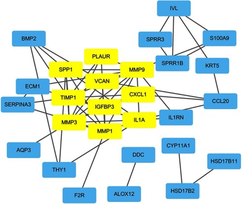 Figure 6 PPI network of the key genes. The yellow rectangles represent the genes in the functional modules of the PPI network.Abbreviation: PPI, protein-protein interaction.