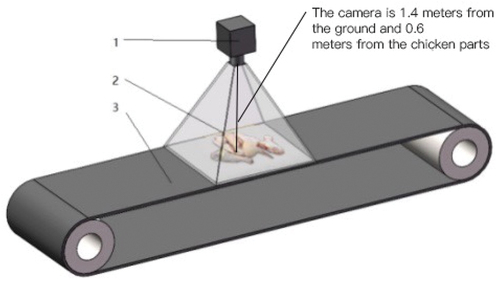Figure 1. Image acquisition system (1.Camera 2.Chicken part 3.Conveyor belt).