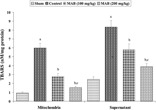 Figure 3.  Effect of methanol extract of Artemisia absinthium (MAB) on mitochondrial and supernatant thiobarbituric acid reactive substances formation in mice subject to global cerebral ischemia followed by reperfusion. Each column represents the mean ± SD, n = 7; a = p < 0.05 versus sham; b = p < 0.05 versus control; c = p < 0.05 versus 100 mg/kg, p.o., of the extract. TBARS, thiobarbituric acid reactive substances.