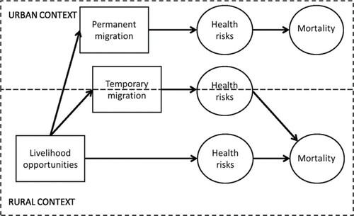 Diagram 1.  Migration–health conceptual diagram.