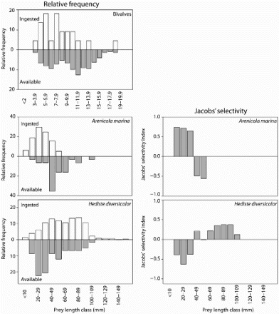 Figure 3. The relative size distributions of three bivalve species (Macoma balthica, Cerastoderma edule and Angulus tenuis), the polychaete Arenicola marina and Hediste diversicolor ingested by Bar-tailed Godwits at the five study areas (upward histograms), in comparison with the size distributions of those prey species present on the feeding sites (downward histograms) are shown in the left panels. The right panels represent the prey preferences of A. marina and H. diversicolor, as determined with Jacobs' index (J) based on the five wintering sites. When the index is positive, the prey species is preferred.