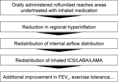 Figure 1 Hypothesis for the mode of action of roflumilast.