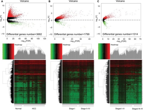 Figure 1 Differential gene expression using the TCGA mRNA sequencing data of HCC.Notes: Volcano map and heat map for differential gene expressions between (A) the normal (n=50 cases) and all HCC tissues (n=366 cases); (B) stage I (n=179 cases) and stage II–IV HCC tissues (n=187); (C) stage I–II (n=274 cases), and stage III–IV HCC tissues (n=92 cases).Abbreviations: HCC, hepatocellular carcinoma; TCGA, The Cancer Genome Atlas.