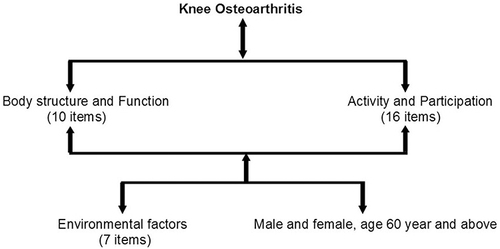 Figure 3 A framework of the new Arabic patient-reported outcome measure.