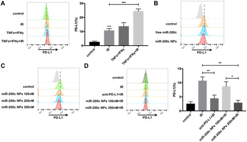 Figure 3 MiR-200c inhibited the expression of PD-L1. (A) Radiotherapy induced PD-L1 expression of AGS cells. (B) MiR-200c NPs significantly inhibited the expression of PD-L1 on gastric cancer cells. (C) The inhibitory effect on the PD-L1 expression was gradually strengthened as the concentration of miR-200c NPs increased. (D) Both miR-200c NPs and anti-PD-L1 could inhibit PD-L1 expression caused by radiotherapy (*P < 0.1, **P < 0.01, ***P < 0.001).