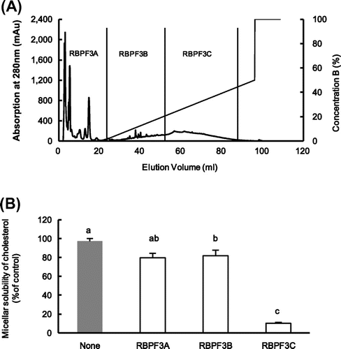 Fig. 2. The typical elution profile of RBPF3 by reverse-phase column chromatography (RPC) and micellar solubility of cholesterol in vitro.