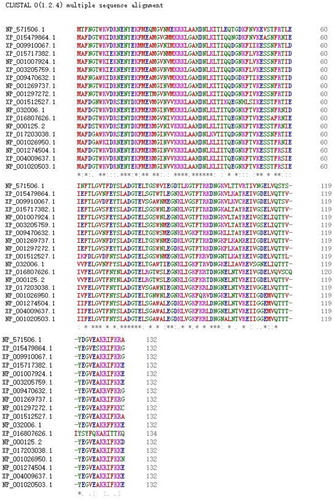 Figure 1. Multiple sequence alignment of FABP2 amino acid sequences in the eighteen species. ‘*’ represents identical aa, ‘:’, and ‘.’ are highly and relative highly conserved aa.