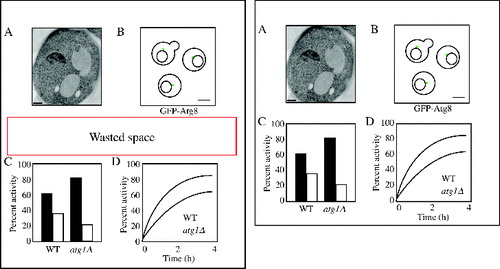 Figure 8. Eliminate wasted space. Use the minimal amount of space needed between panels to clearly delineate them.