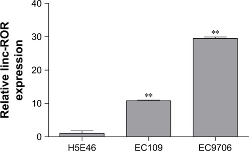 Figure 2 The ROR expression was higher in ESCC cell lines EC109 and EC9706 than the immortalized esophageal epithelial cell line H5E46 (**p<0.01).