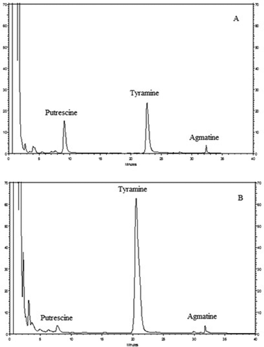 Figure 1. Chromatograms of biogenic amine standards (A) and a LAB isolate (B)