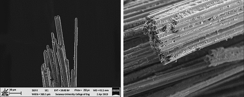 Figure 2. Microscopy images of carbon fibers in composites.