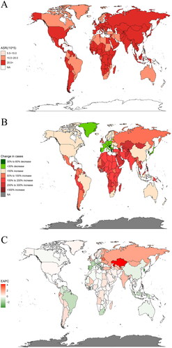 Figure 1. Incidence of cirrhosis in 204 countries and regions worldwide burden of disease: A. ASR for the incidence of cirrhosis in 2019; B. Changes in the cases of cirrhosis from 1990 to 2019; C. EAPC analysis of cirrhosis ASR from 1990 to 2019. ASIR, age-standardized rate; EAPC, estimated annual percent change. Source: Institute for Health Metrics and Evaluation. Used with permission. All rights reserved.