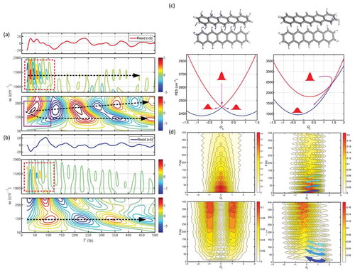 Figure 6. Oscillations due to VC and corresponding wavelet analysis for polycrystalline pentacene film in the (a) GSB and (b) ESA regions. Arrows highlight the splitting or persistence of low-frequency modes, while boxes indicate the short lifetime of high-frequency VC. (c) Calculated low-frequency (177 cm−1, left) coupling and high-frequency (1013 cm−1, right) tuning modes and constructed potential energy curves of the S1 and 1TT states along these coordinates. (d) Calculated wavepacket dynamics in the S1 (top) and 1TT (bottom) states along the coupling (left) and tuning mode coordinates of the CI, revealing VC transfer. Adapted from [45], licensed under a creative commons attribution 4.0 International License