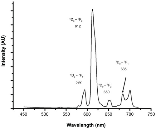Figure 1 Steady state emission spectra of Eu-SWCNT dispersed in 1% pluronic F127 solution (concentration 10 μg/mL).Notes: Excitation at 390 nm gives typical Eu3+ emission spectra with 5D0 – 7Fj transitions (j = 0 to 4). The prominent transitions for Eu-SWCNT are 5D0 – 7F1 (592 nm), 5D0 – 7F2 (612 nm), 5D0 – 7F3 (653 nm), and 5D0 – 7F4 (685–700 nm).Abbreviation: AU, arbitrary units.