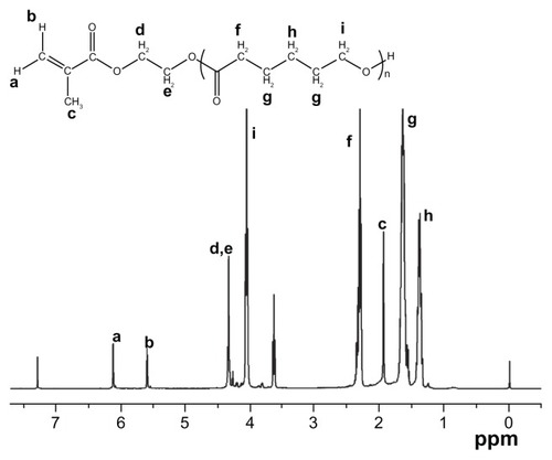 Figure 1 Proton nuclear magnetic resonance spectrum of the HEMAPCL macromer with the HEMA/CL feed ratio of 1:5.Abbreviations: HEMAPCL, 2-hydroxylethyl methacrylate-poly(ɛ-caprolactone); CL, ɛ-caprolactone.