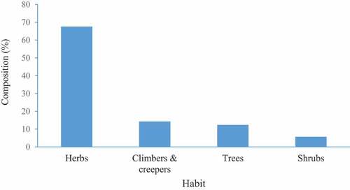 Figure 3. Percentage of coastal sand dune species representing different habit types.