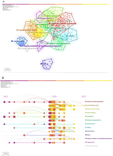 Figure 8. Analysis of co-cited references. (A) CiteSpace network map of cluster diagram of co-cited references. (B) CiteSpace network map of clustering timeline view of co-cited references. (A) Visual network of co-cited clustering in literature. Tags represent clustering analysis topics, where each node corresponds to a document. The color of the node indicates the release date of the document, and the darker color indicates the earlier release date. (B) Visual representation of 13 clustering timelines. The literatures with the same clustering are arranged on the same horizontal line. Each node represents a document, and the node size is proportional to the co-cited frequency of the document. The publication time of the literature is expressed in color, and the darker the color, the earlier the publication time.