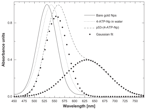 Figure 3 Optical absorption of water solutions of: 50 nm gold nanoparticles (full line), 4-ATP nanoparticles (light dots), and p53-4-ATP nanoparticles (dashed line). The localized plasmon absorption band of the latter is fitted by two components centred at 555 nm and 630 nm (heavy dots).