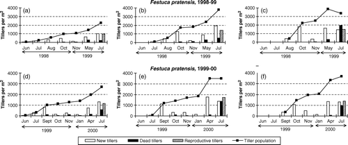 Figure 2.  Total tiller population and the number of new, dead and reproductive tillers during consecutive periods in seed crops of Festuca pratensis established on three different dates and with three different plant densities in 1998–1999 and 1999–2000: a and d: Planted 15 June 1998 or 18 June 1999 at plant spacing 30×30 cm; b and e: planted 15 July 1998 or 30 July 1999 at plant spacing 15×15 cm; c and f: planted 15 August 1998 or 10 September 1999 at plant spacing 7.5×7.5 cm.