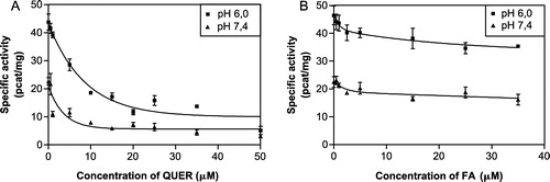 Figure 3 The inhibition curves of quercitrin (A) and flufenamic acid (B) at pH 6.0 and pH 7.4 for comparison. The participation of CR and AKR1C2 to the total reductase activity was calculated to be 3:1 at pH 6.0 (optimal) and 5:1 at pH 7.4 (physiological). The IC50 values at pH 6.0 were estimated to be 5.45 ± 1.37 μM for quercitrin and 3.68 ± 1.58 μM for flufenamic acid.