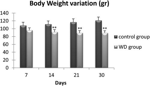 Figure 1. Evolution of body weight of control and water-deprived Meriones (WD) measured at days 7, 14, 21 and 30. Data are expressed as means ± S.E.M. (*) p < .05.