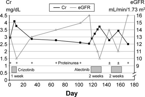 Figure 1 Timeline of the patient’s renal function.