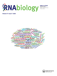 Cover image for RNA Biology, Volume 17, Issue 7, 2020