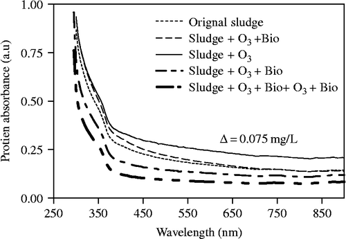 Figure 4 Protein test during sequential processes.