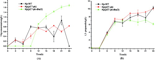 Figure 5. Metabolites produced in glycerol reductive pathway of different strains. (A) 3-hydroxypropionic acid. (B) 1,3-propanediol. KP-WT: wild-type K. pneumoniae; Kp(pET-pk): the recombinant K. pneumoniae harbouring blank vector pET-pk; Kp(pET-pk-dhaD): the recombinant K. pneumoniae harbouring dhaD gene in vector pET-pk. The error bars represent standard deviation from three independent experiments.