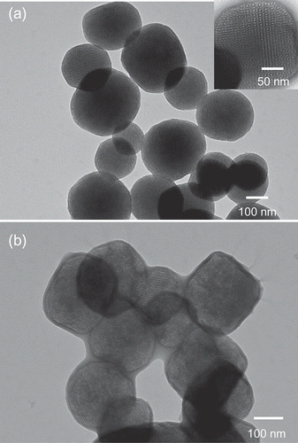 Figure 3. TEM images of mesoporous silica nanoparticles. (a) TEM image before polymerization. (b) TEM image after polymerization.