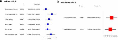 Figure 3. Results of univariate and multivariate Cox regression analysis on OS