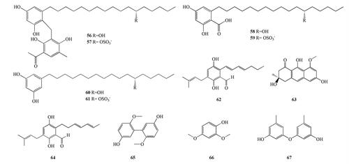 Figure 4. Chemical structures of antimicrobial compounds (56-67).