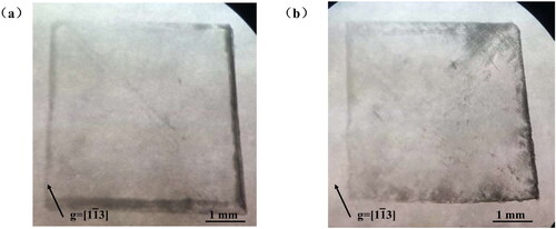 Figure 5. X-ray topography images of (a) HPHT diamond and (b) CVD diamond.