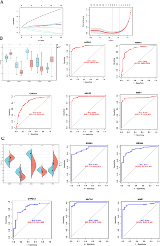 Figure 5 LASSO analysis and exploring diagnostic Biomarkers. (A) LASSO analysis to screen diagnostic genes; (B) the expression of diagnostic genes and ROC plot in the training set; (C) the expression of diagnostic genes and ROC plot in the validation cohort. ****p<0.0001.