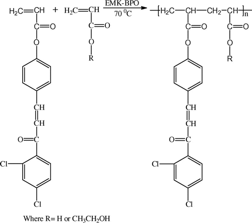 Scheme 3. Synthesis of poly(DCP-co-AA) and poly(DCP-co-HEA).