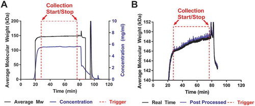 Figure 2. Real time MALS data from a HIC purification.a). The concentration and Mw signals are plotted along with the trigger signals. Throughout the purification, there is an increase in Mw (—) as aggregates saturate the HIC column and dimers coelute with the monomers. The protein is eluted from the column and passes through both the UV and in-line MALS detectors. The Mw is calculated in < 1 s using both the UV and light scattering signal and a start/stop trigger (- - -) is sent to the purification unit when the protein meets the preset Mw criteria. The concentration is calculated from the UV detector of the purification unit (---). b) No significant differences were observed between the data from real time (—) and post processed modes of analysis (---).