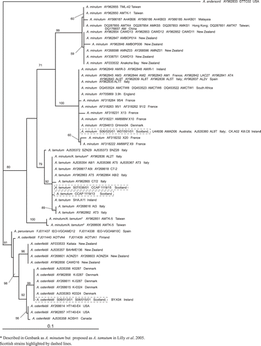 Fig. 27. Maximum likelihood tree generated from LSU rDNA sequences of Alexandrium.