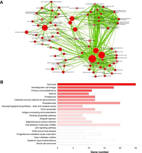 Figure 2 Functional enrichment analysis of SurvGenes via DAVID. (A) Clustering analysis of significantly enriched biological process (BP) terms. Nodes and edges are BP terms and their interactions, respectively. Larger node size indicates more contained genes and darker color indicates more significant, that is, smaller p-value. Thicker line indicates more overlaps between the two BP terms. (B) Significantly enriched pathways. X-axis is gene number contained in pathways. Darker color indicates more significant, that is, smaller p-value.