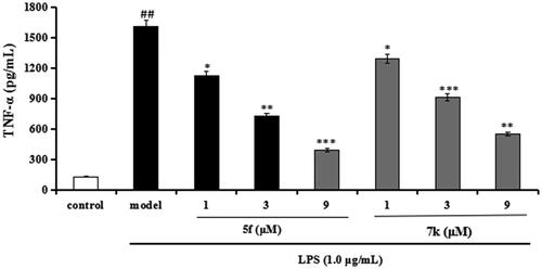 Figure 14. Effects of compounds 5f and 7k on TNF-α release in LPS-stimulated BV-2 cells. Data were expressed as mean ± SD through three independent experiments. ##p < 0.01 vs control; ***p < 0.01, **p < 0.01, *p < 0.05 vs LPS-induced group.