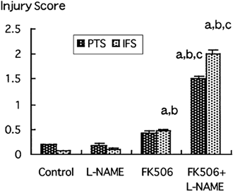 Figure 2. Semiquantitative analysis of histological changes of the kidney in the rats received one week treatment with FK506 and/or L-NAME. Control: control rats. L-NAME: rats received L-NAME treatment (5 mg/100 mL in drinking water). FK506: rats received FK506 treatment (3.2 mg/kg/day i.m.). FK506 + L-NAME: rats received both FK506 treatment and L-NAME treatment. PTS: proximal tubular injury score. IFS: interstitial fibrosis score. a: p < 0.05 vs. control group. b: p < 0.05 vs. L-NAME group. c: p < 0.05 vs. FK-506 group.