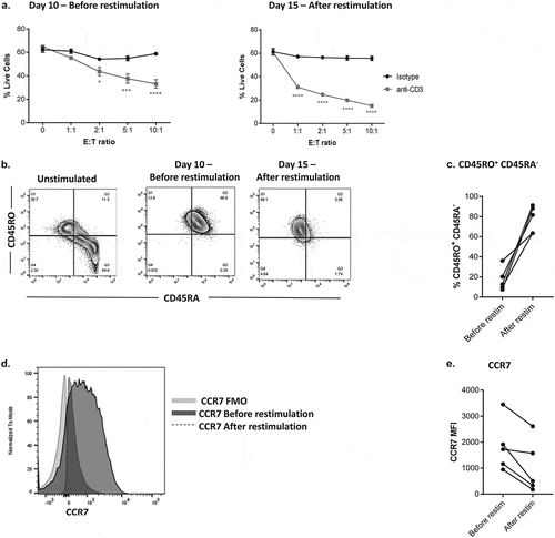 Figure 1. Optimizing CD8+ T cells for tumor cell cytotoxicity assays.