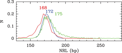 Figure 34. Histograms of local NRL: comparison of the predictions of our physical modelling (μ˜=−1.3 kT, δ=2 kT and l w =125 bp ) for budding yeast (blue) (the same histogram is obtained for C. elegans) with the in vivo S. cerevisiae MNase-chip data of Lee et al. Citation(2007) (red) and C. elegans MNase-seq data of Valouev et al. Citation(2008) (green).