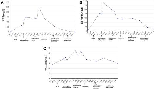 Figure 1 Changes of inflammatory markers during antibiotics treatment ((A) CRP, (B) ESR and (C) WBC).