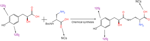 Figure 1 Schematic Diagram of HN Synthesis.